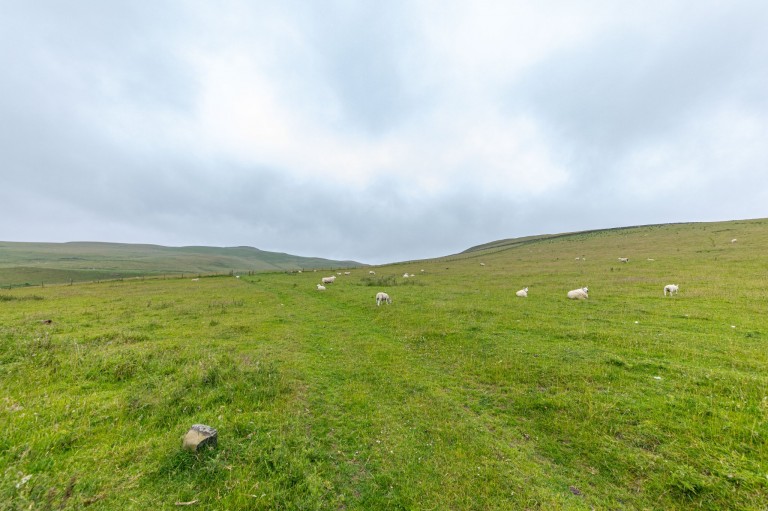 Images for Scottish Borders