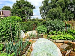 Images for Stow, Galashiels, Scottish Borders