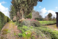 Images for Great Burstead, Billericay, Essex