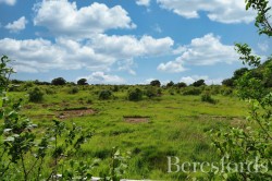 Images for Maldon, Essex