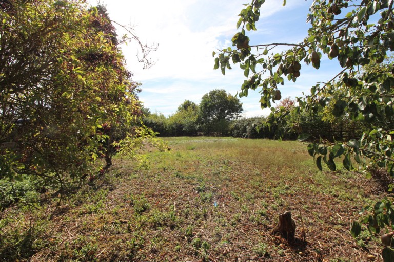 Images for Panfield, Braintree, Essex