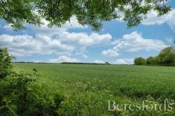 Images for Steeple, Southminster, Essex
