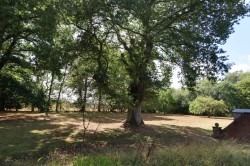 Images for Braintree, Essex
