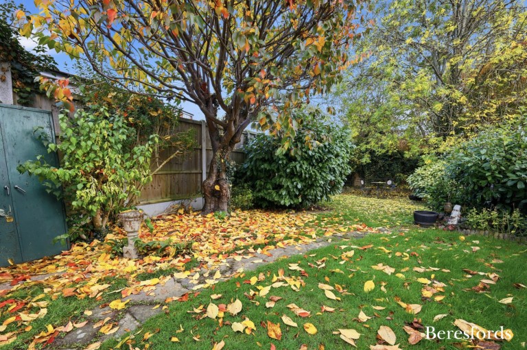 Images for Harold Wood