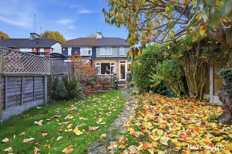 Images for Harold Wood