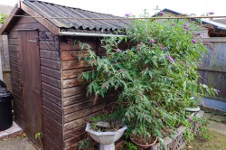 Images for Maldon, Essex