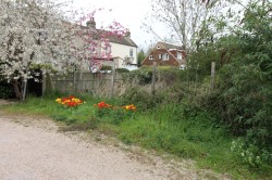 Images for Romford