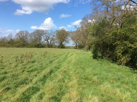 Click the photo for more details of Little Baddow, Chelmsford, Essex