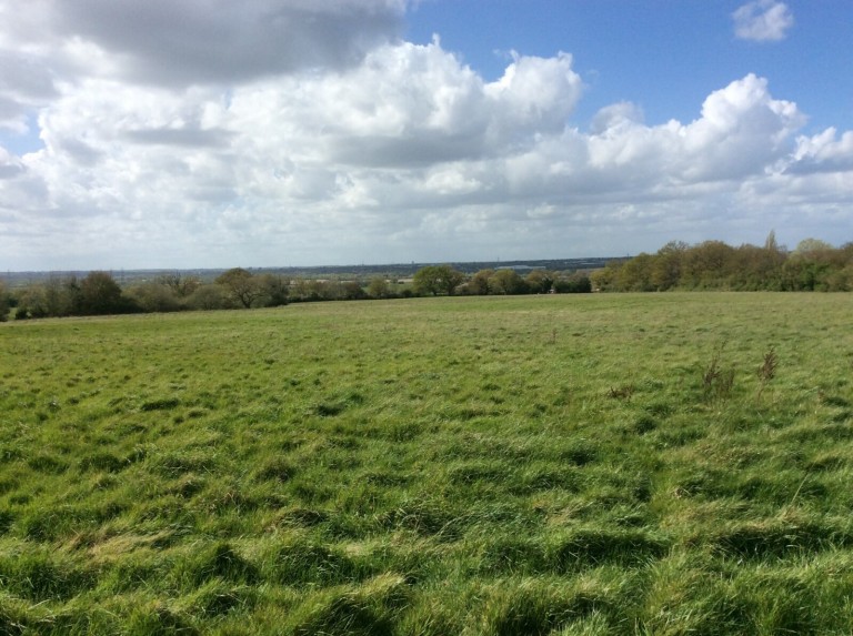 Images for Little Baddow, Chelmsford, Essex