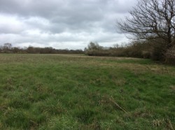 Images for Little Baddow, Chelmsford, Essex