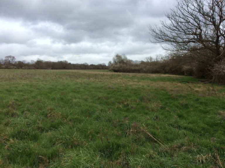 Images for Little Baddow, Chelmsford, Essex