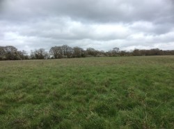 Images for Little Baddow, Chelmsford, Essex