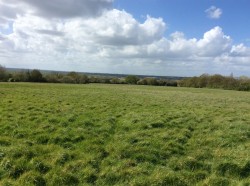 Images for Little Baddow, Chelmsford, Essex