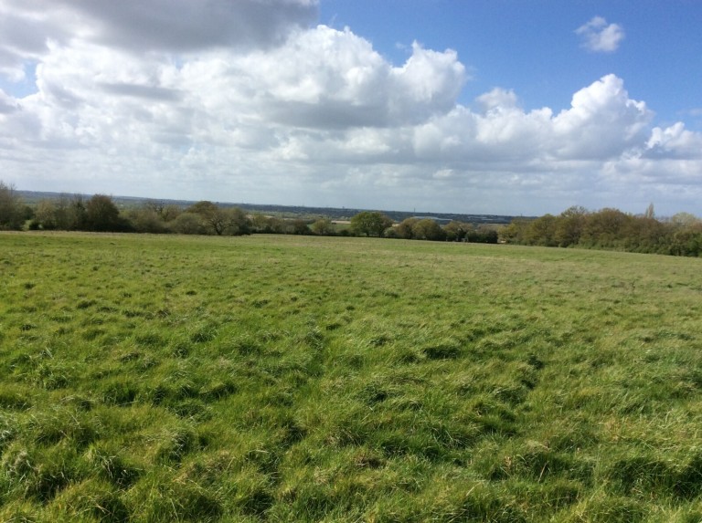 Images for Little Baddow, Chelmsford, Essex