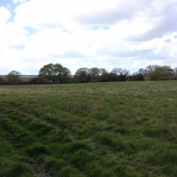 Images for Little Baddow, Chelmsford, Essex