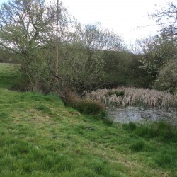 Images for Little Baddow, Chelmsford, Essex