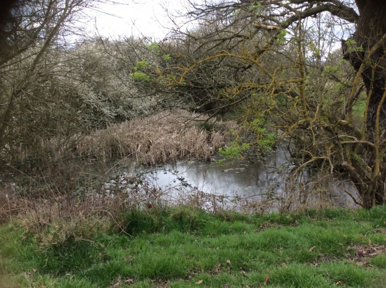 Images for Little Baddow, Chelmsford, Essex