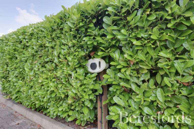 Images for Ingatestone, Essex
