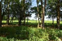 Images for Chiddingfold Road, Dunsfold, Surrey