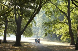 Images for Oatlands Drive, Weybridge, Surrey