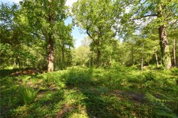 Images for Copsem Lane, Esher, Surrey