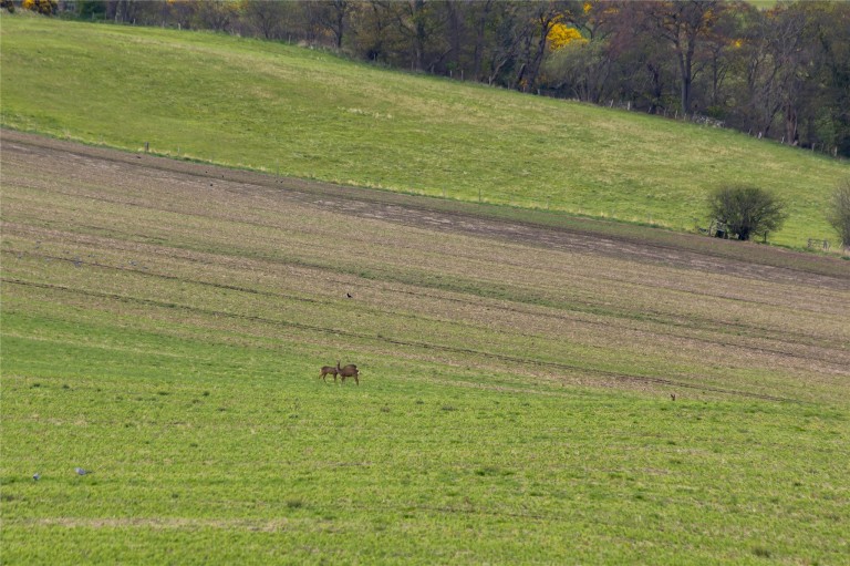 Images for Edinburgh, Midlothian