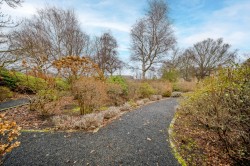 Images for Edinburgh