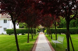 Images for Byfleet Road, Cobham, Surrey