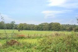 Images for Churt, Farnham, Surrey