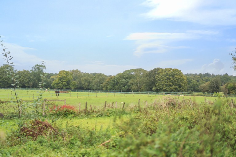 Images for Churt, Farnham, Surrey