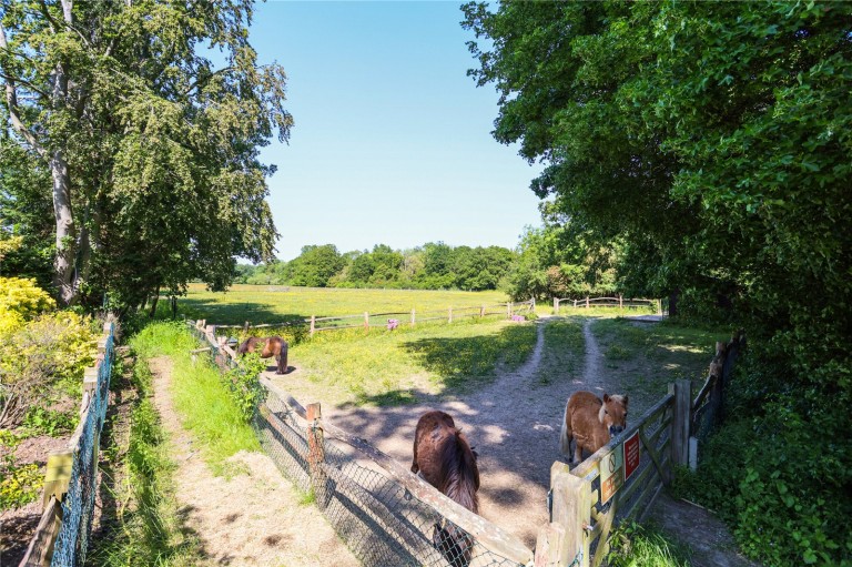 Images for Birds Hill Drive, The Crown Estate, Oxshott