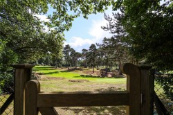 Images for Wood Lane, St George's Hill, Surrey