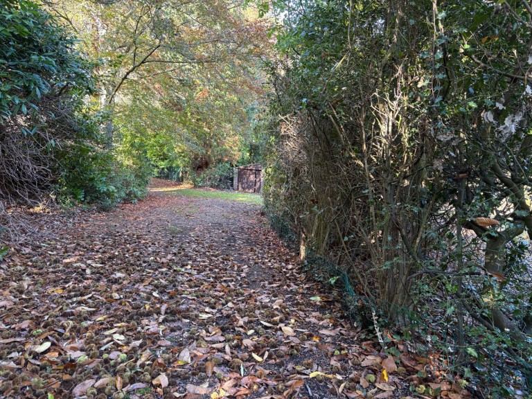 Images for Warreners Lane, St George's Hill, Surrey