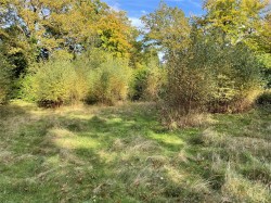 Images for Warreners Lane, St George's Hill, KT13