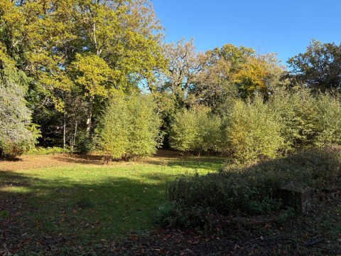 Click the photo for more details of Warreners Lane, St George's Hill, Surrey