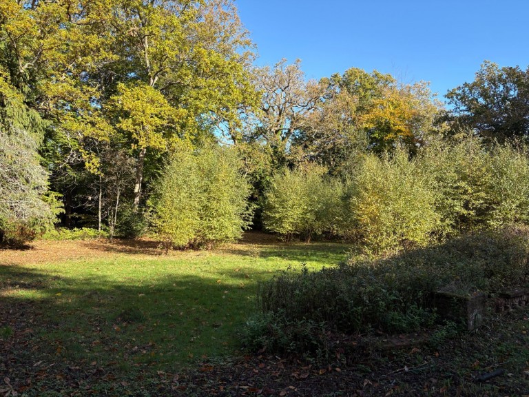 Images for Warreners Lane, St George's Hill, Surrey