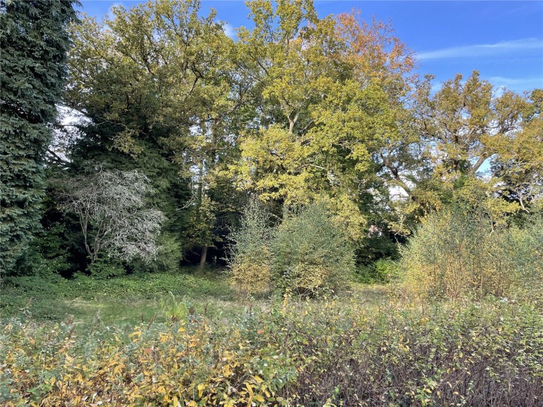 Images for Warreners Lane, St George's Hill, Surrey