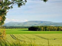 Images for Plot 1 Blackadder Bank, Allanton, Duns, Scottish Borders