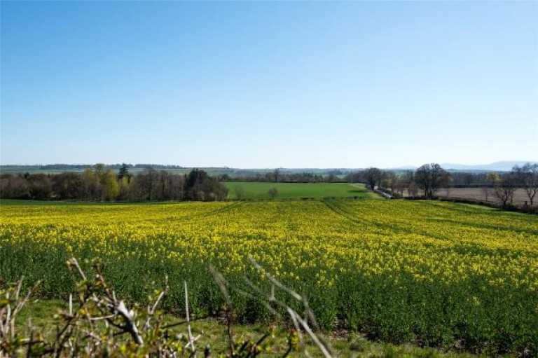 Images for Stonesthrow, Paxton, Berwick Upon Tweed, Scottish Borders