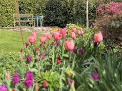 Images for Weirgate House, St. Boswells, Melrose, Scottish Borders