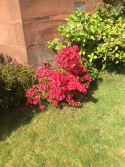 Images for 0/2, Marlborough Avenue, Broomhill, Glasgow