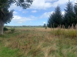 Images for Land South Of The Latches, Blackwood Estate, Blackwood, Lesmahagow, Lanark