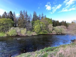 Images for Dogcraig Cottage, Scotsmill, Peebles, Scottish Borders