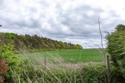 Images for 7 Rutherford Farm Cottage, Kelso, Scottish Borders