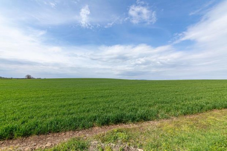 Images for Whitsomehill Farm Cottage, Whitsome, Duns, Scottish Borders