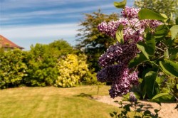 Images for Ravelston Dykes, Edinburgh