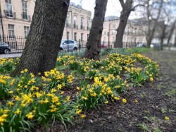 Images for Flat 12, Hopetoun Crescent, Edinburgh, Midlothian