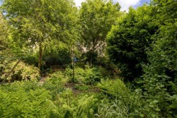 Images for 10 2f1, Brougham Place, Edinburgh, Midlothian
