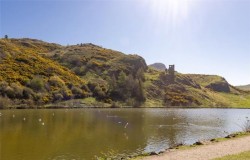 Images for Meadowbank Terrace, Edinburgh, Midlothian