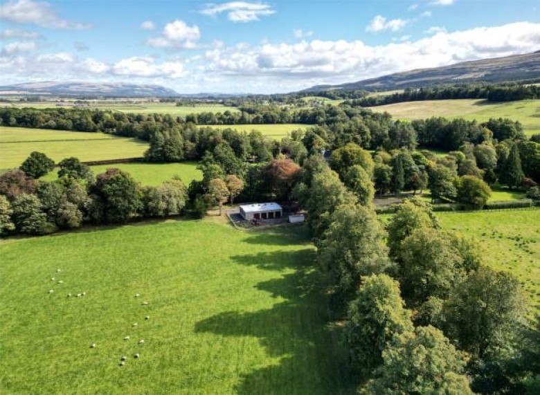 Click the photo for more details of Blair Moss Plot, Blair Moss Plot, Boquhan, Stirling, Stirlingshire